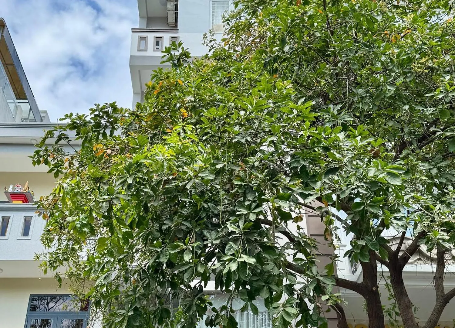 Thinh Khang Hotel Vung Tau
